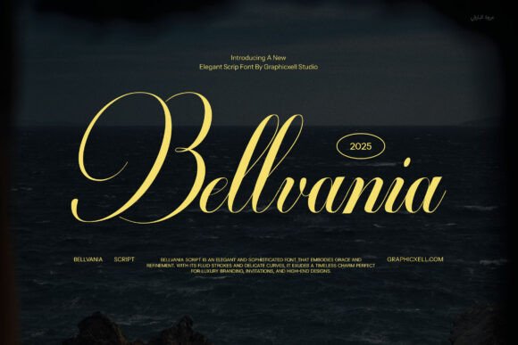 Bellvania: Elevating Design with Calligraphic Elegance