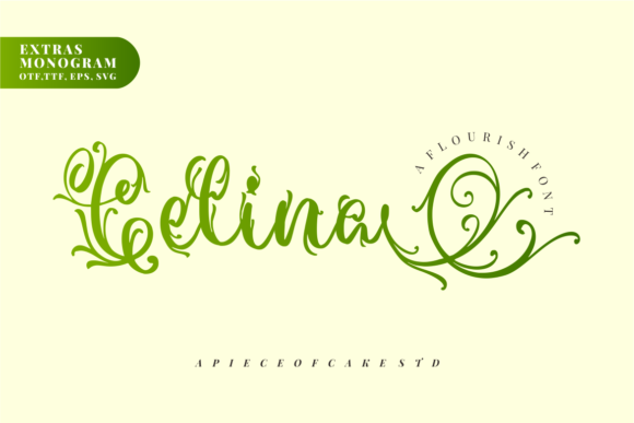 Celina Duo: The Magical Font Pairing for Modern Design