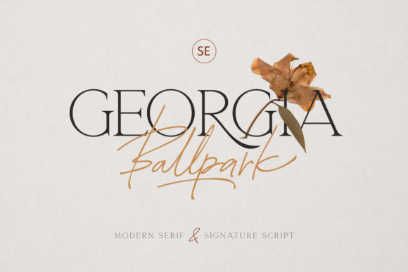 Georgia Ballpark: A Typographic Duo for Modern Design